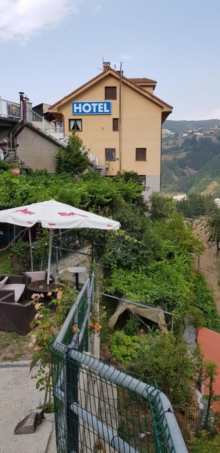 Hotel Alina Cangas De Narcea Bagian luar foto