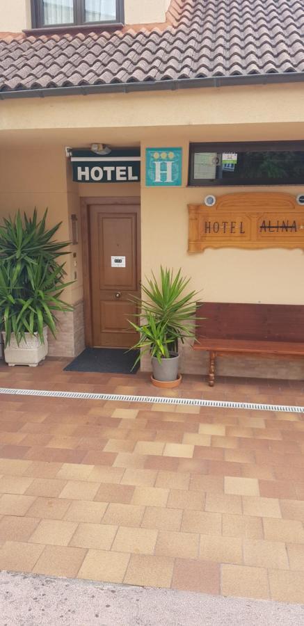 Hotel Alina Cangas De Narcea Bagian luar foto