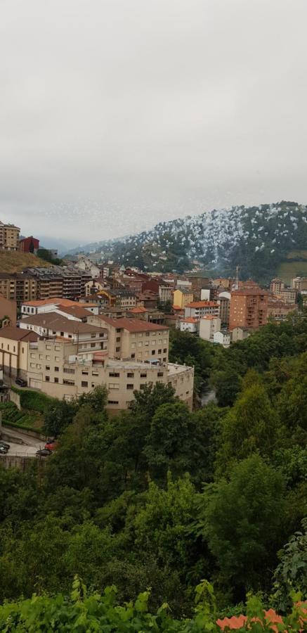 Hotel Alina Cangas De Narcea Bagian luar foto