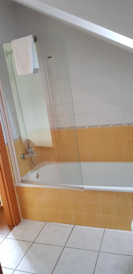 Hotel Alina Cangas De Narcea Bagian luar foto