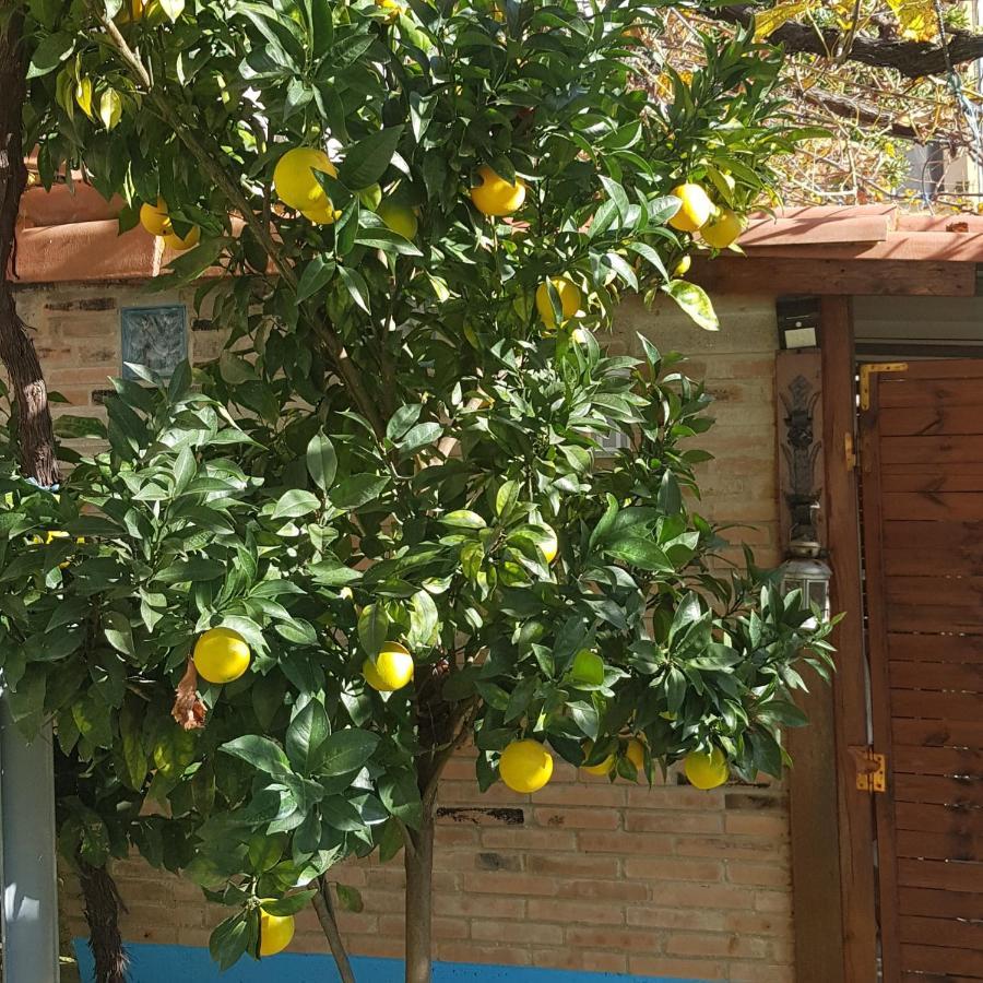 Hotel Alina Cangas De Narcea Bagian luar foto