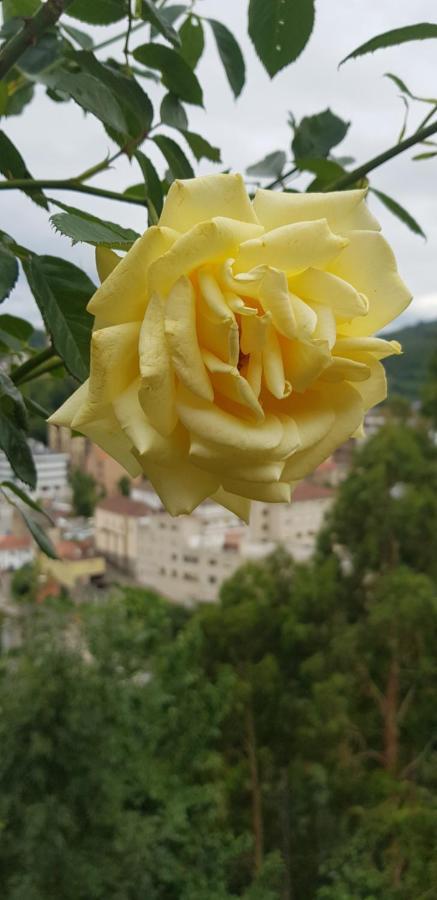 Hotel Alina Cangas De Narcea Bagian luar foto